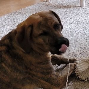 Meet your Posher, Kaylee